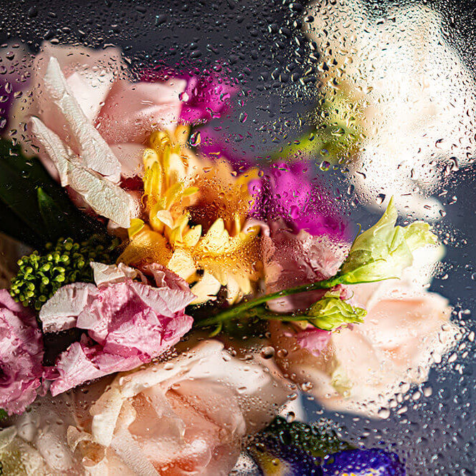 Increasing Vitality and Ojas: A Comprehensive Guide