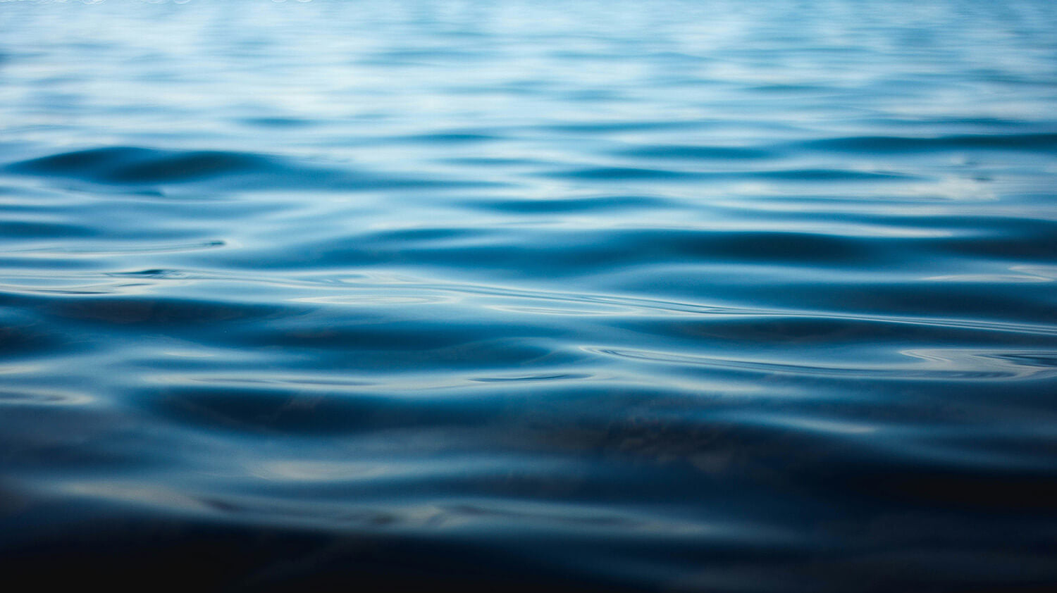 Ayurveda Meets VortexHealing®: Releasing Deep Stress for True Mind-Body Balance