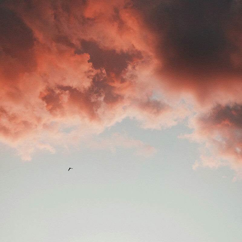 Ayurveda’s Founding Principle: The Doshas in the Spotlight