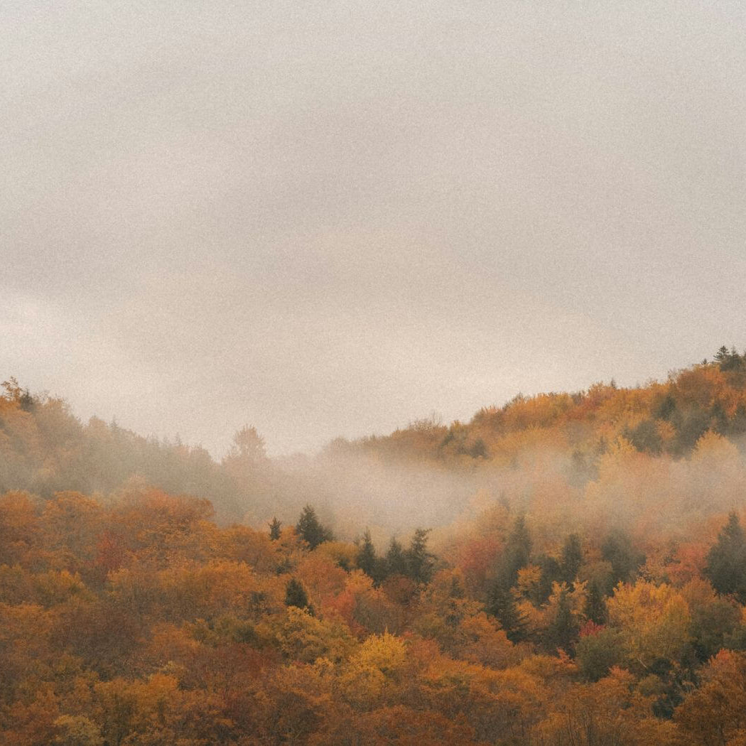 The Ayurvedic Guide to Autumn: Rituals for Vata Season