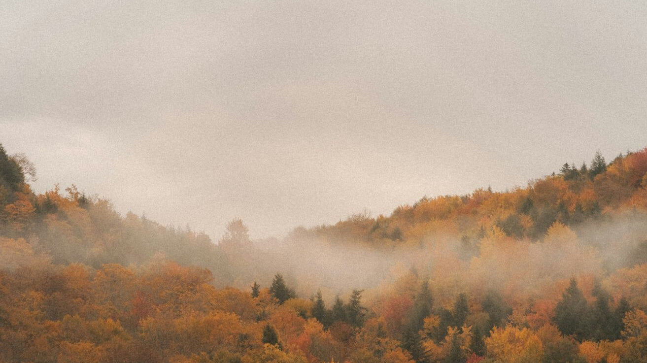 The Ayurvedic Guide to Autumn: Rituals for Vata Season