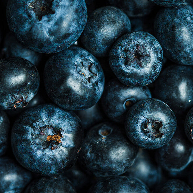 The Fundamentals of the Ayurvedic Diet: How to eat for your Dosha