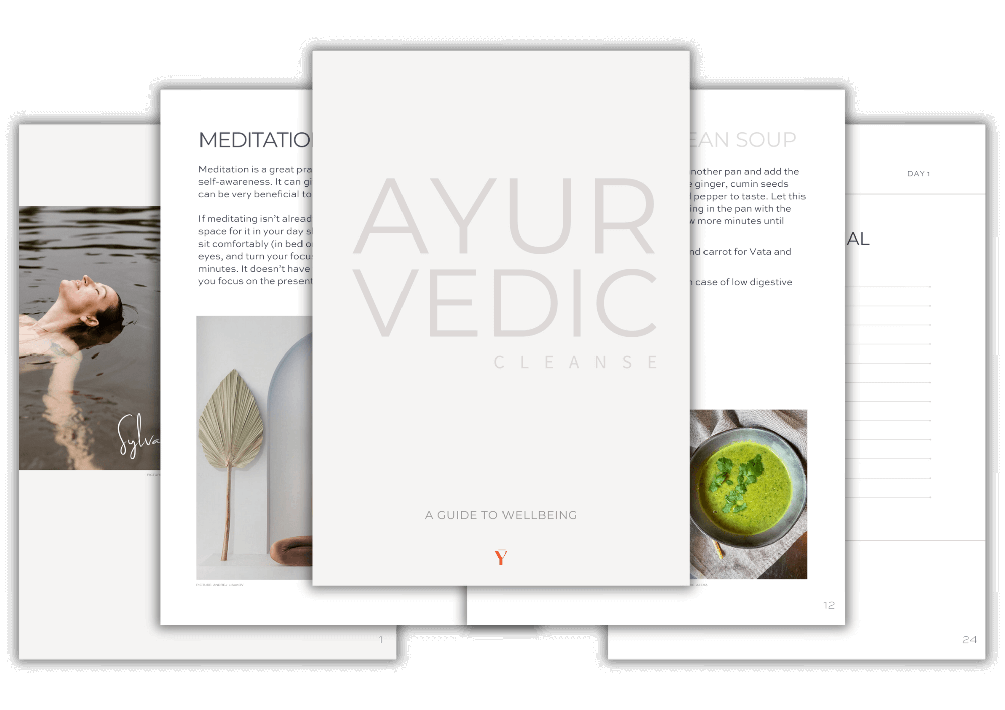 Ayurvedic Cleanse