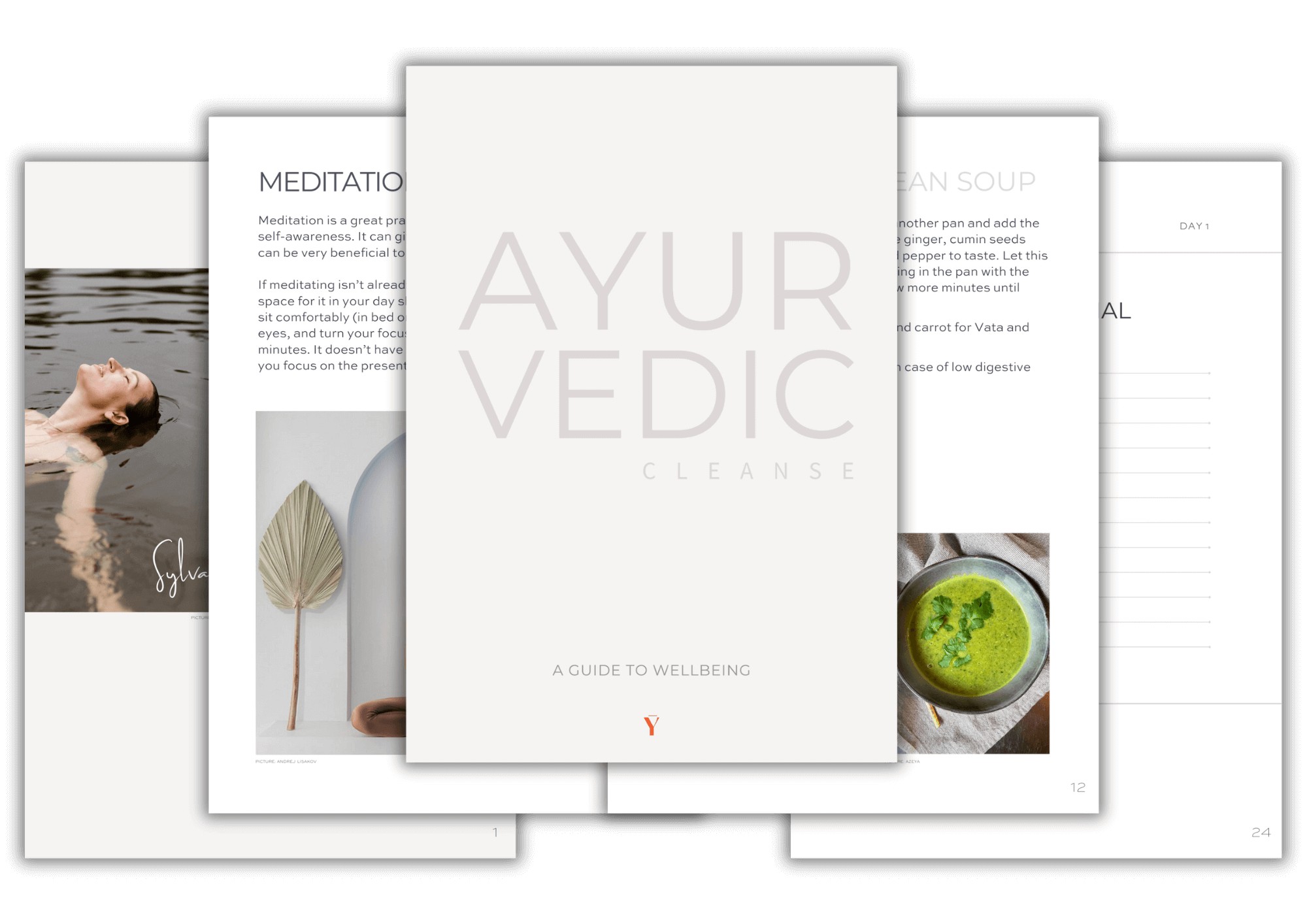 Ayurvedic Cleanse