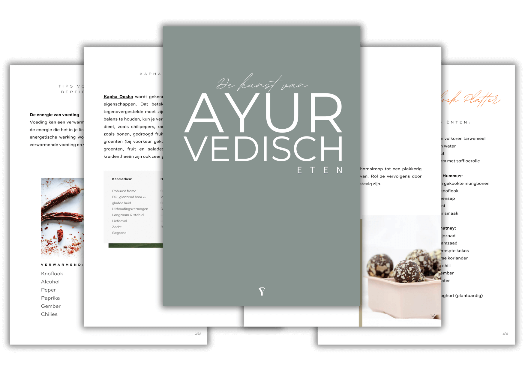 de kunst van ayurvedisch eten