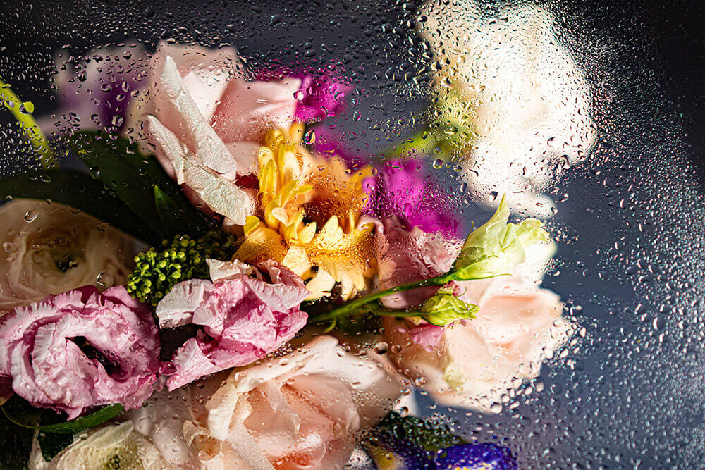 Increasing Vitality and Ojas: A Comprehensive Guide