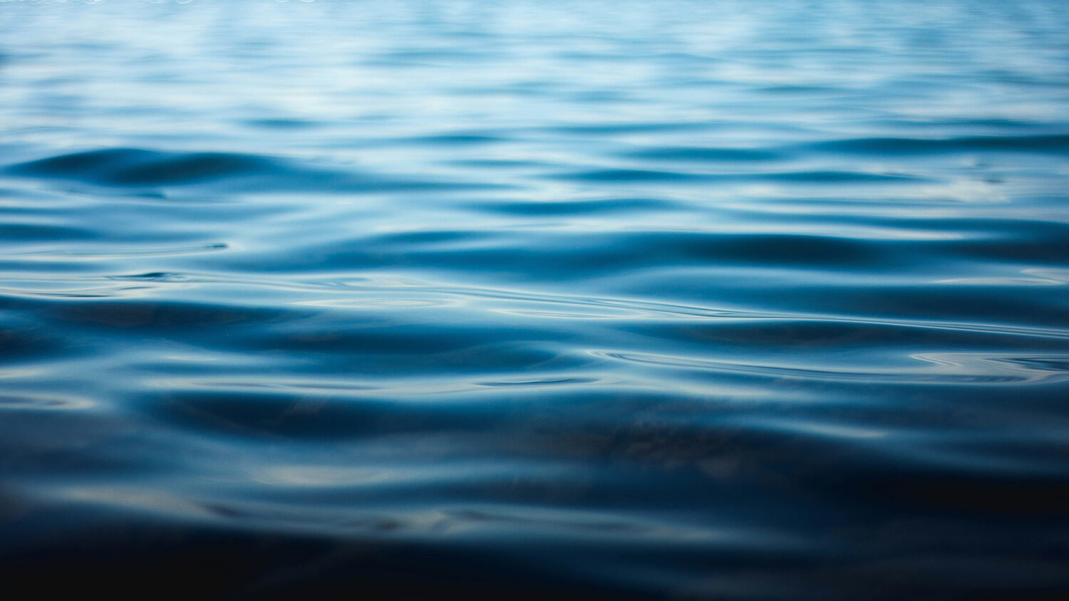 Ayurveda Meets VortexHealing®: Releasing Deep Stress for True Mind-Body Balance