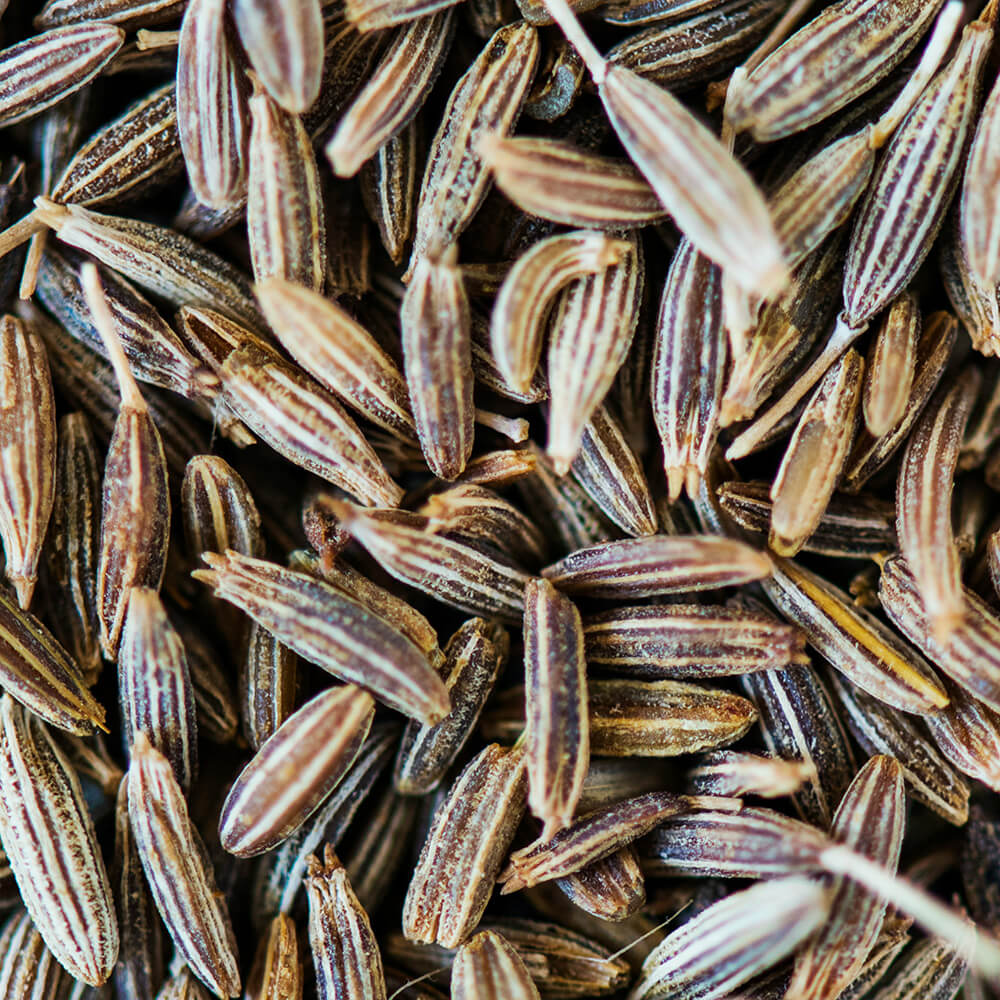 Challenge Yourself: 10 Ayurvedic Herbs and Spices to Incorporate Into Your Diet