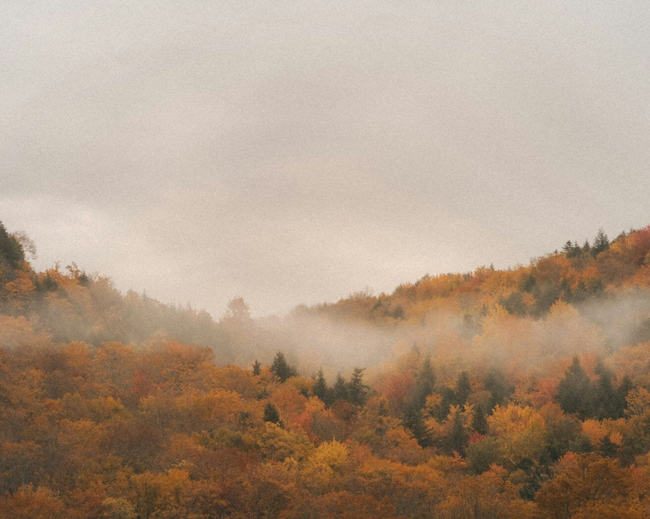 The Ayurvedic Guide to Autumn: Rituals for Vata Season