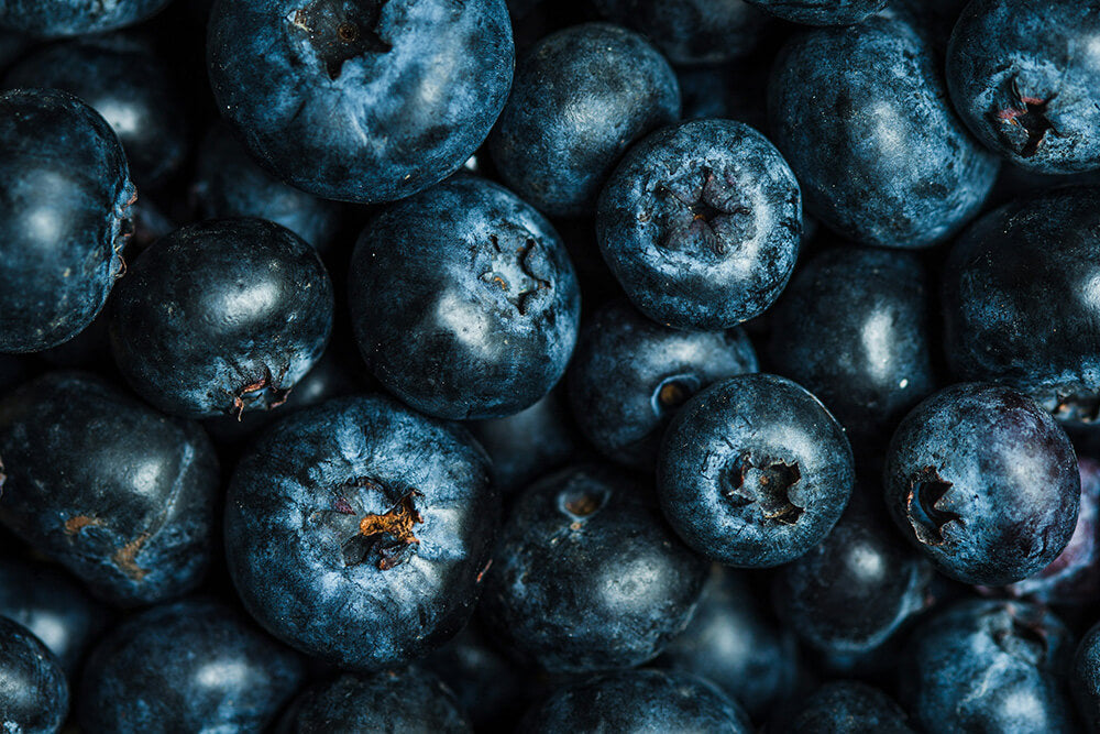 The Fundamentals of the Ayurvedic Diet: How to eat for your Dosha