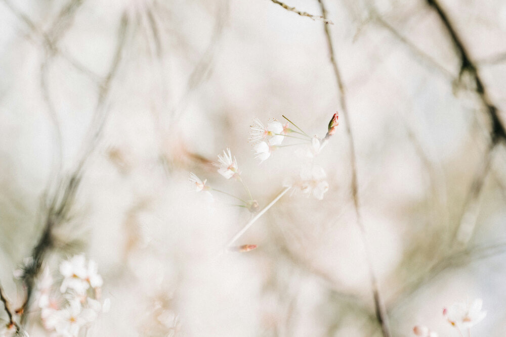Glow From Within and
Rediscover Your Balance