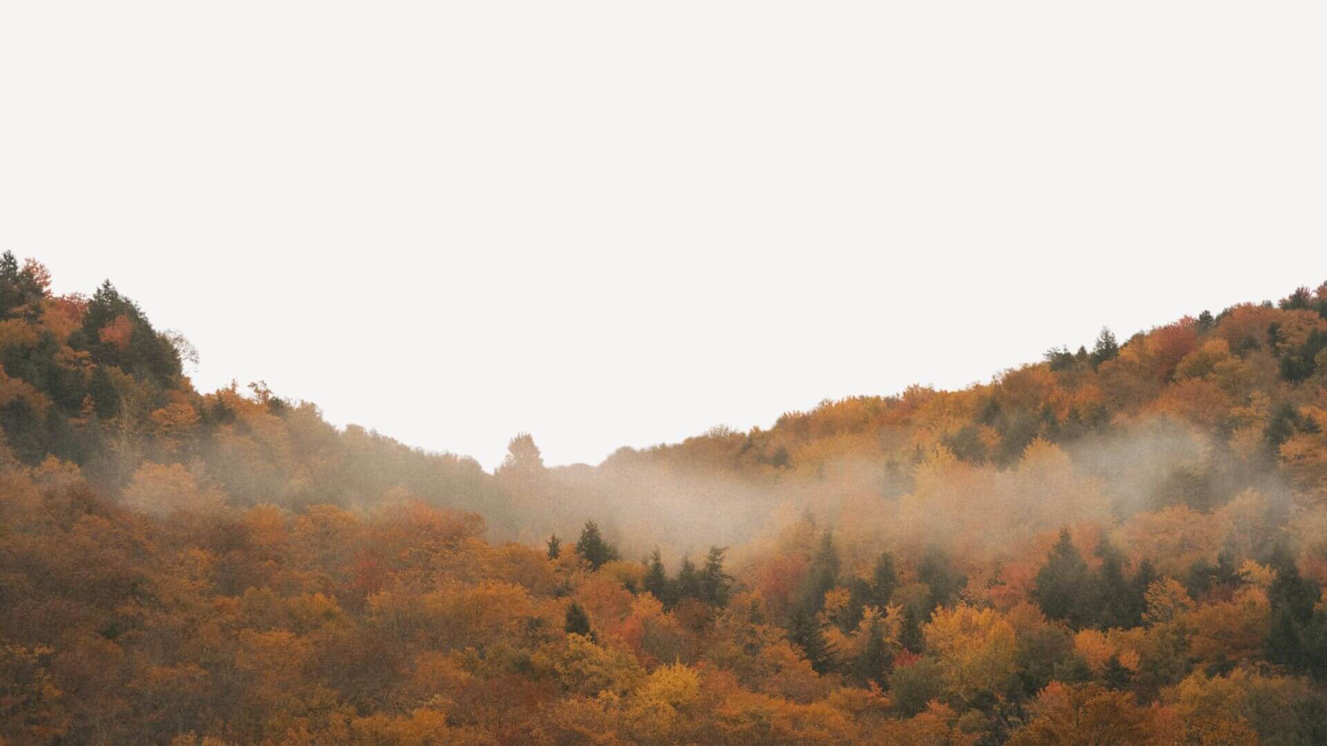 Join the Autumn Reset